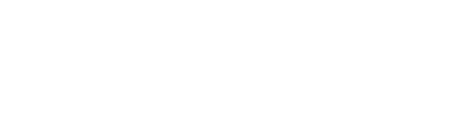 PriebeSecurityServices logo