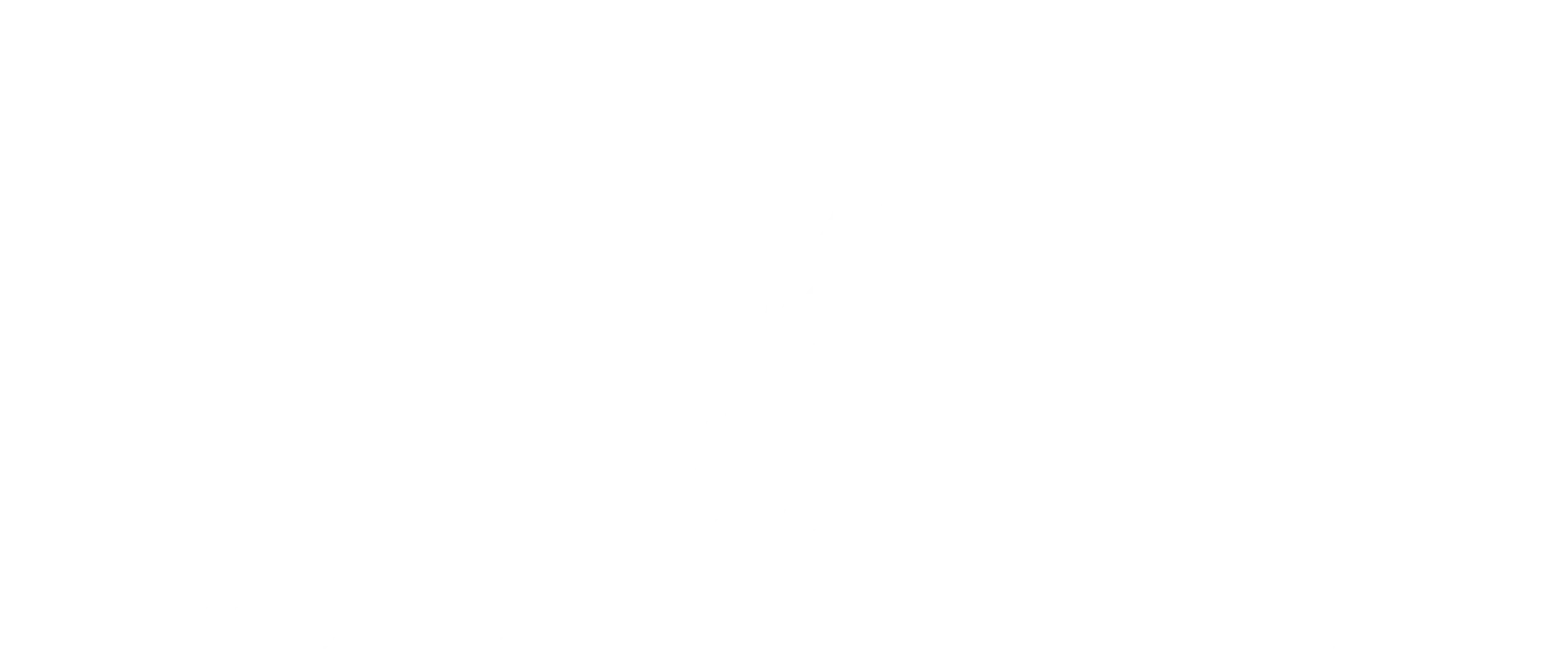 RedFanCommunications logo